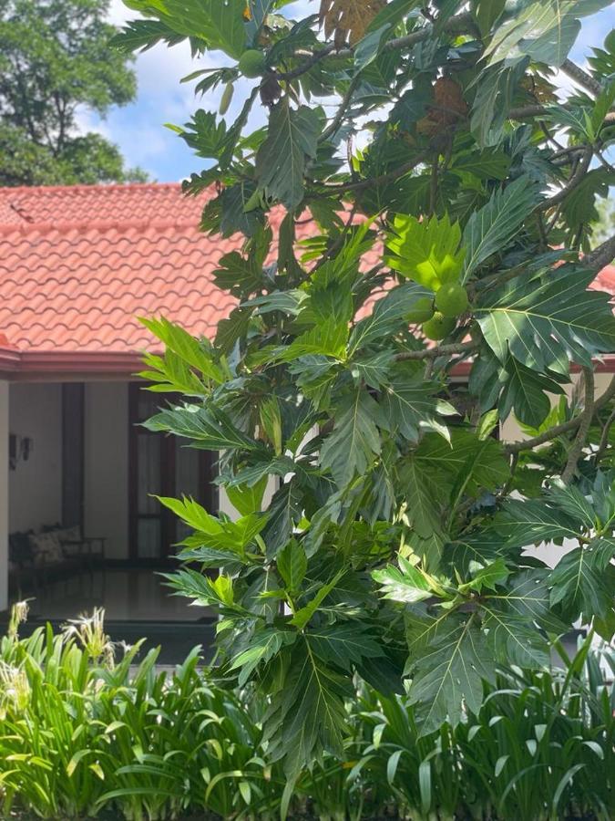 Villa Crystals Malabe Exterior foto